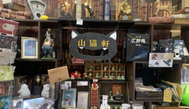 Exploring Museums & Walks in Tokyo