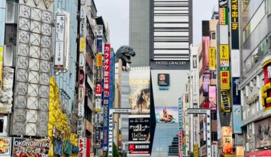 🦖 Shinjuku Landmark, Godzilla Head Looking Down on the City