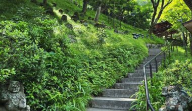 Stairs at the Otagi Nenbutsu-ji Temple, Ukyō District, Kyoto [OC]