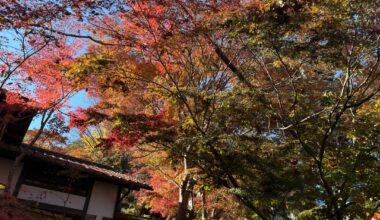 Takaosan, quick report