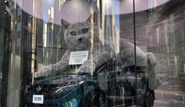Ginza has a giant 3-meter cat