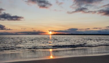 Toyako Coast November 2025