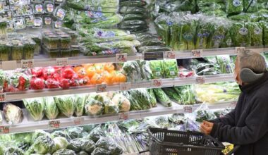 Over half of Japan scholarship recipient households couldn't afford food at times