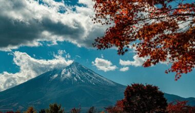 Fuji-san... a little snow, a lot of backlight. And I was nursing a cold...