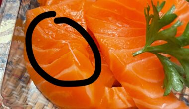 Is this a parasite in raw salmon or just a nerve?