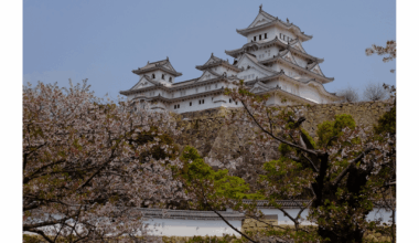 Sakura season: Tokyo, Kyoto, Himeji