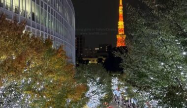 Roppongi Christmas Tree Lighting in Tokyo