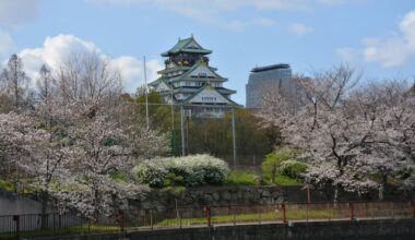 Japan during cherry blossom season