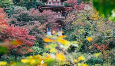 Favorite Season, Joruri-ji, Kyoto