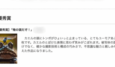Photo Contest in Japan Rescinds Award for Stolen AI-Generated Pic - Unseen Japan