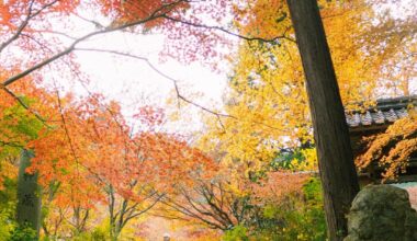 Lesser known places around Kyoto