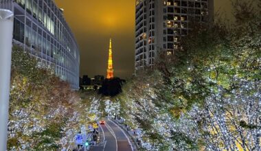 Winter Illuminations