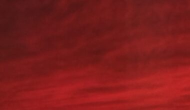 Once a week my wife sends me a photo of the Fuji taken from the bathroom window at her work... Kinda cool