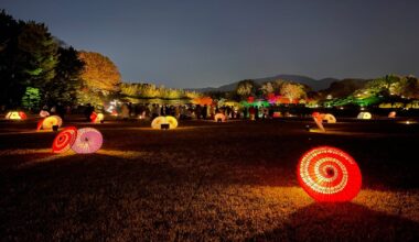Evening light-up at Okayama’s Kōrakuen garden