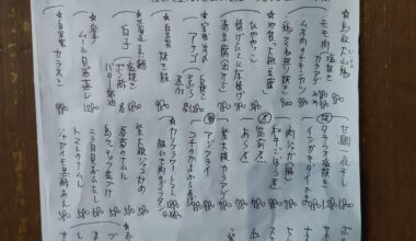 Any chance somebody could help me *properly* translate some of the menu for me?