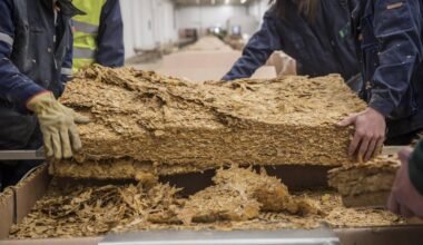 Japan Tobacco is doubling down on cheap cigarettes