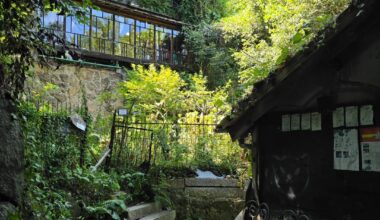 Neko no Hosomichi(Cat Alley) in Onomichi City, Hiroshima Prefecture [OC]