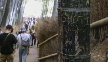 Famous bamboo grove in Kyoto trimmed to prevent graffiti carving - The Mainichi