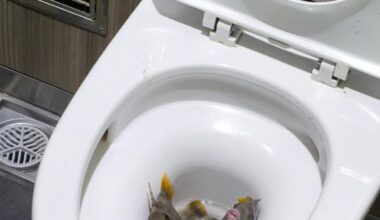 Wtf going on at akihabara station, they were still alive