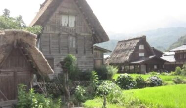 Foreign traveler attacked by bear near one of Japan’s most popular countryside attractions