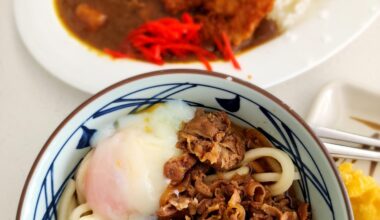 Gyudon - Style Udon and a Katsu Curry anyone?