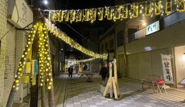 This is a photo of 竹灯籠　(bamboo lanterns) in Numazu City, Shizuoka