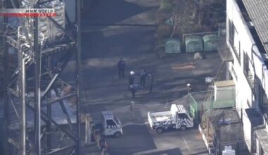 Escaped wolf captured at Tokyo zoo