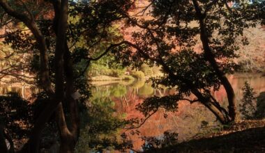 Just... Flowers and Kyoto
