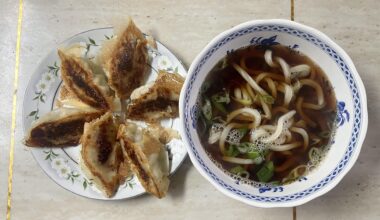 Home made) gyoza + udon