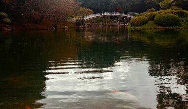 Takamatsu last September