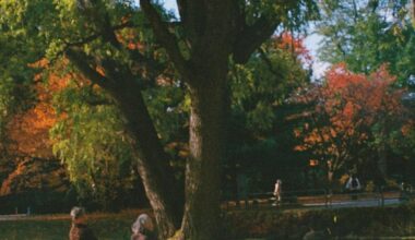 Autumn in Sapporo 🍂