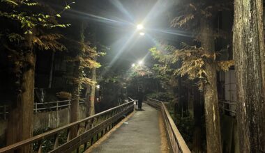 [OC, took with my IPhone] Shinjuku, Tokyo, Japan (2025/12/17)