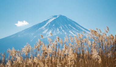 Mt. Fuji