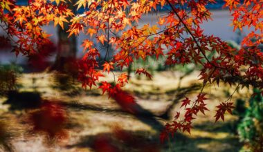 Autumn at Nanzenji Temple in Kyoto