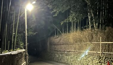 A bamboo path at night, Kyoto