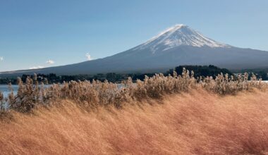 Mt. Fuji, November 2025