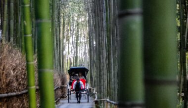Arashiyama