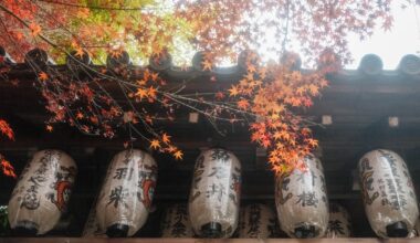 Some more frames from my recent trip