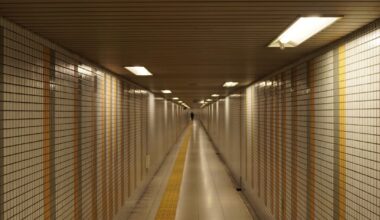 Japan is a liminal space goldmine