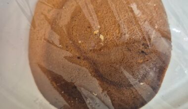 Any tips or idea what went wrong?