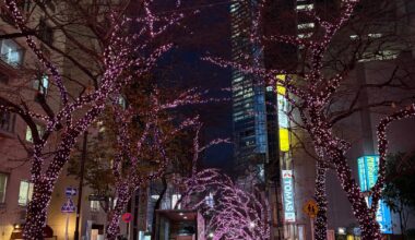 Stay safe & have a great Christmas Everyone! 🎅🎄