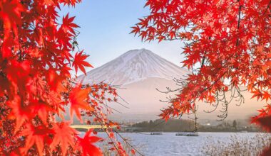 Mt. Fuji