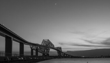 Tokyo Gate Bridge, Plus Cat!