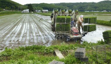 Japan sees largest-ever fall in number of independent farmers to 1.02 mil.
