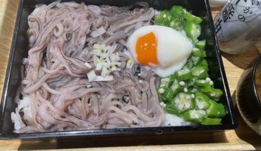 Fishermen-style food from rural Japan: a bento with fresh raw squid tentacles