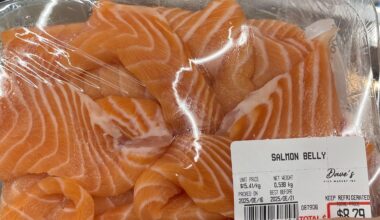 can I use this to make sushi?