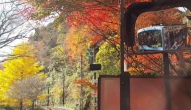 Kyoto In Autumn