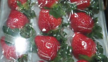 Japanese strawberries exported to Taiwan fails inspections due to high pesticide residue