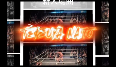 Personally: I like Naito's freelancer theme way more than Stardust