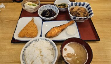 Don't sleep on shokudos when in Japan, so much variety and the ladies are always so kind